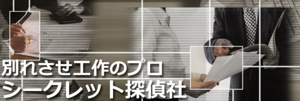 別れさせる、別れさせ、別れさせ工作、別れさせ探偵、夫婦の別れさせ、シークレット探偵社